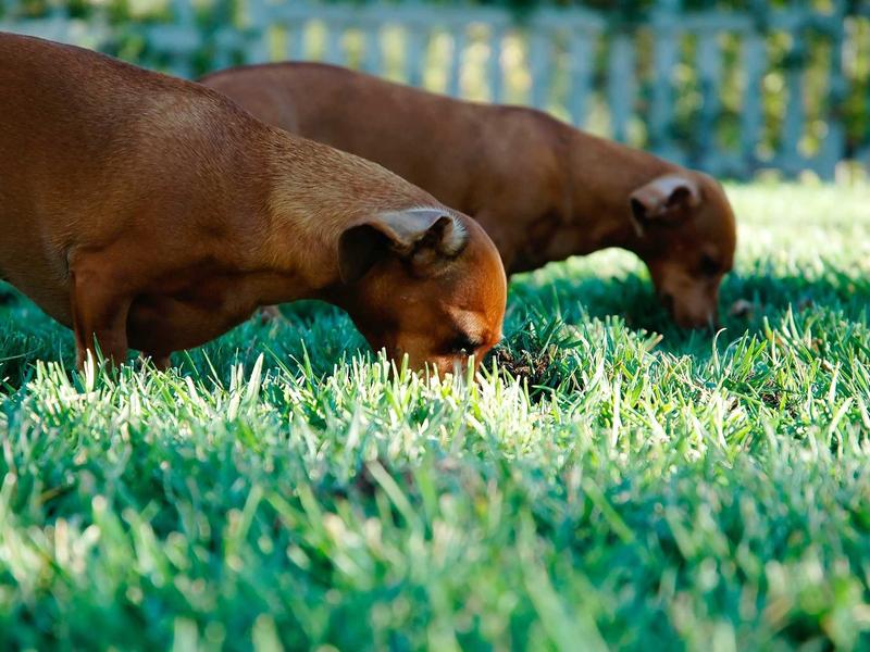 sudoku statistics screenshot 3