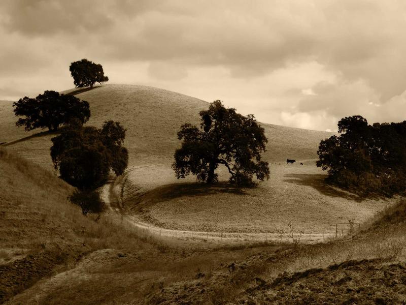 sudoku brain workout screenshot 4