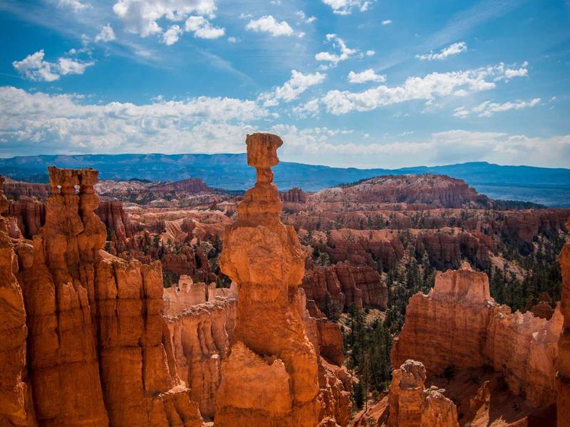 sudoku statistics screenshot 5