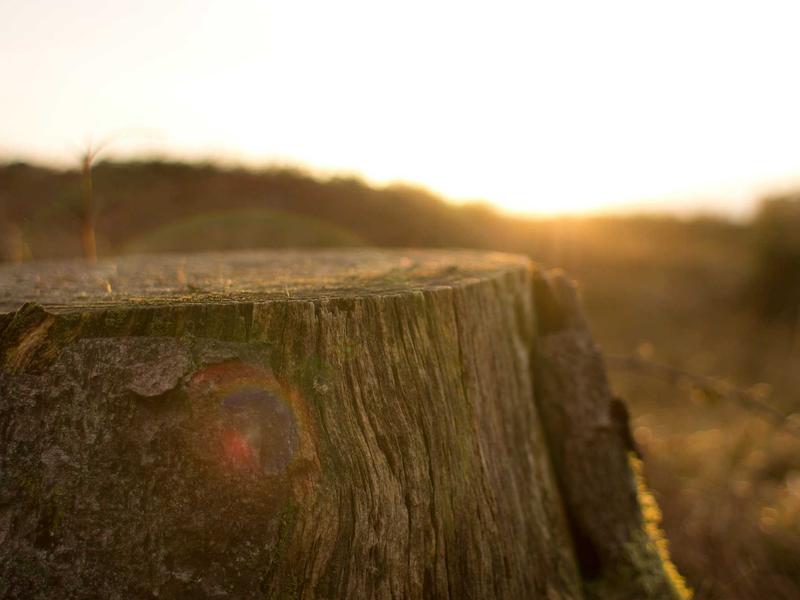 sudoku brain workout screenshot 3