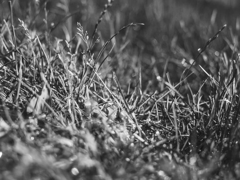 sudoku export puzzle screenshot 5